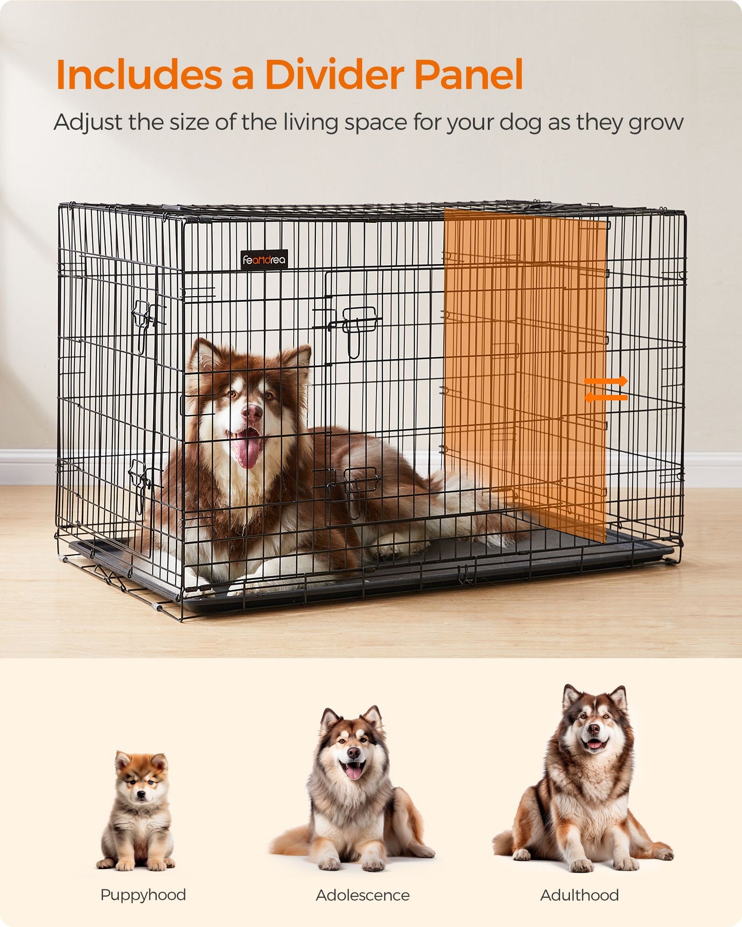 Jaula para Perros, con 2 puertas con cerradura, Jaula perro Grande, una pared divisoria desmontable, Negro, Feandrea, 4
