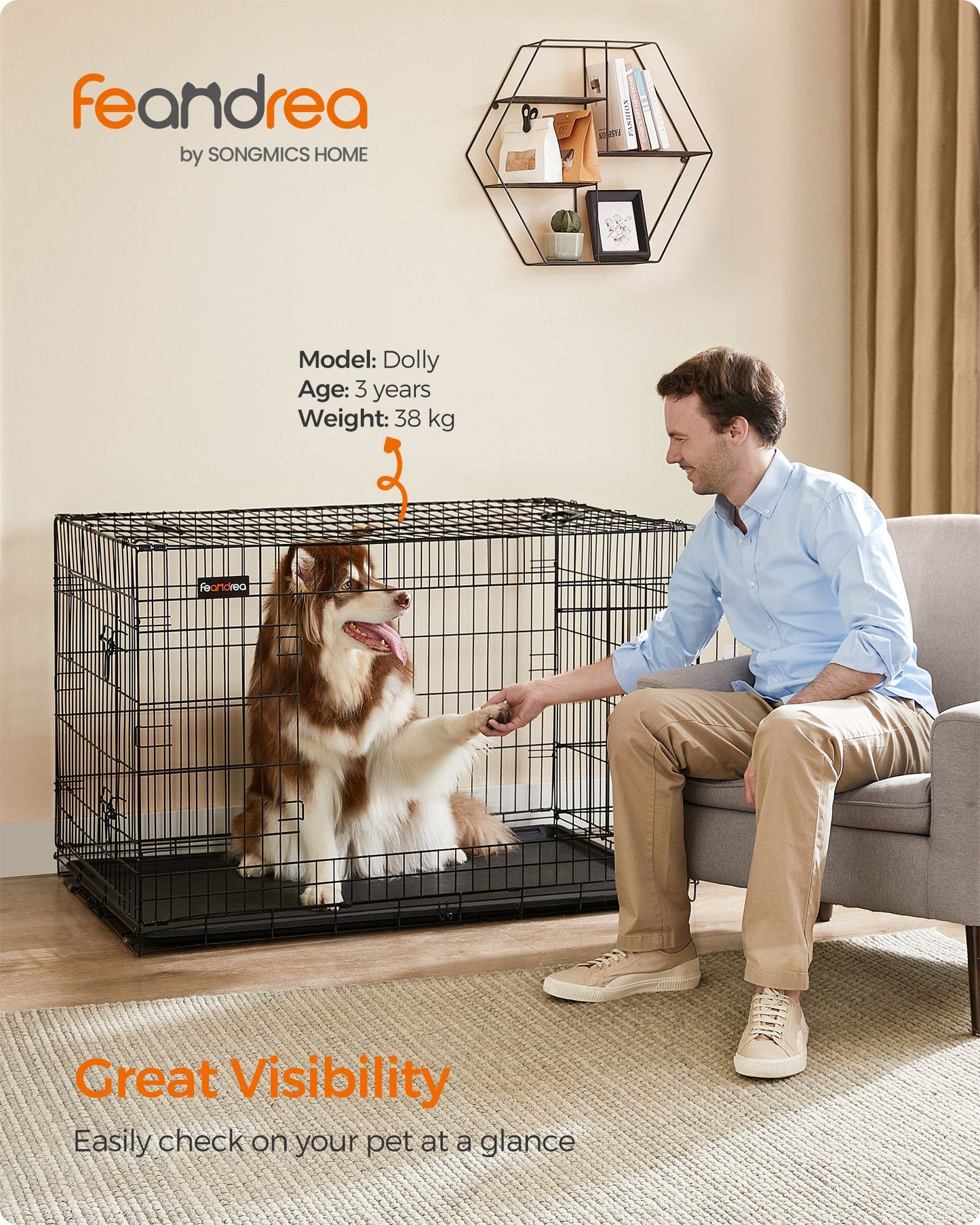 Jaula perro Grande, Jaula para Perros, Plegable, 2 Puertas, Bandeja Extraíble, Cerraduras Dobles, XXL, Negro, Feandrea, 6