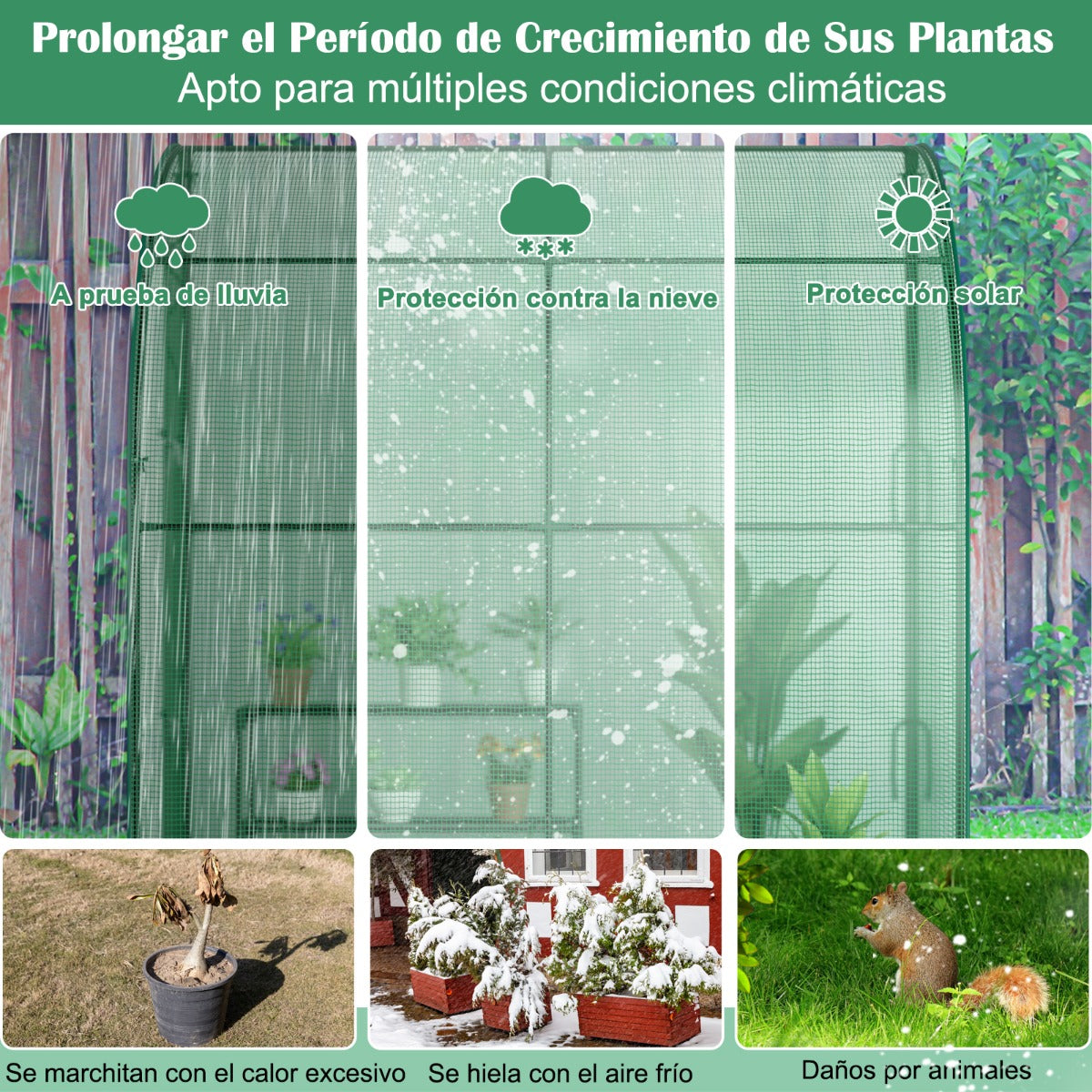 Invernadero, con Estante, Invernadero Pequeño, para Flores Invernadero de Pared Portátil, Costway, 8