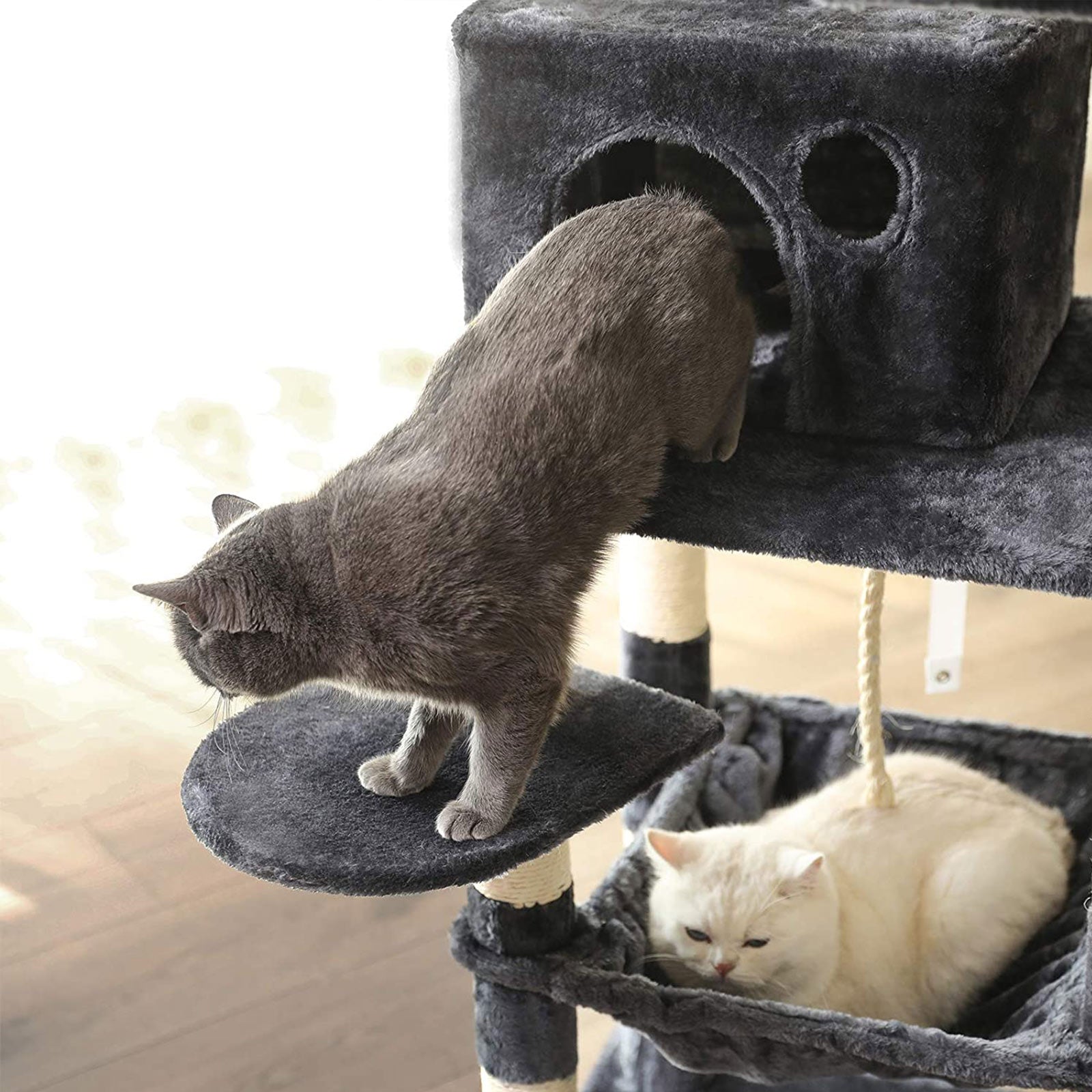 Torre para Gatos con 2 Plataformas de Felpa